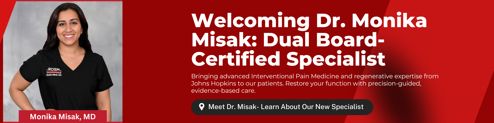 Dr. Monika Misak website2